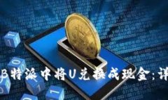 如何在B特派中将U兑换成现金：详细指南