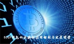 BitP钱包的区块链应用解析与发展前景