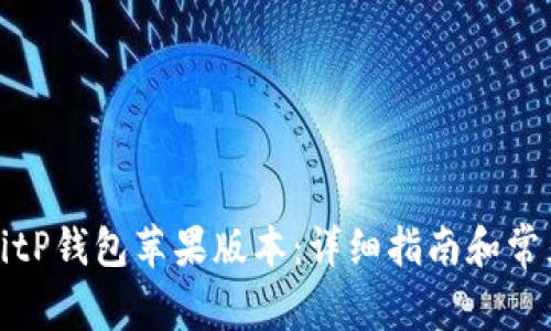 如何下载BitP钱包苹果版本：详细指南和常见问题解答