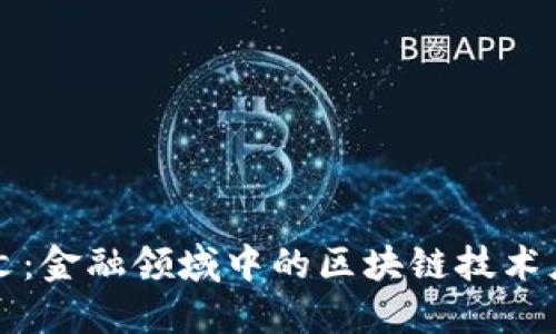 本科论文：金融领域中的区块链技术应用研究