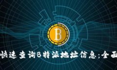 如何快速查询B特派地址信息：全面指南