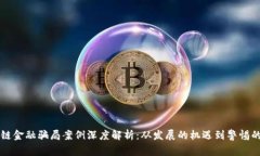 区块链金融骗局案例深度解析：从发展的机遇到