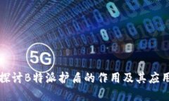 深入探讨B特派护盾的作用及其应用场景