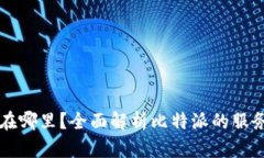 比特派服务器在哪里？全面解析比特派的服务器