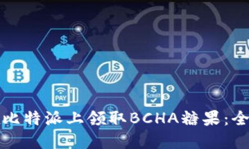 如何在比特派上领取BCHA糖果：全面指南
