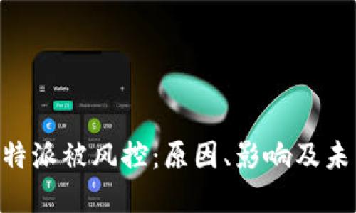 解码B特派被风控：原因、影响及未来展望