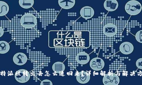 比特派被转出去怎么追回来？详细解析与解决方案