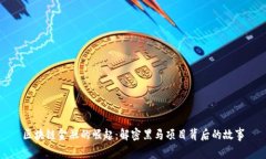 区块链金融的崛起：解密黑马项目背后的故事