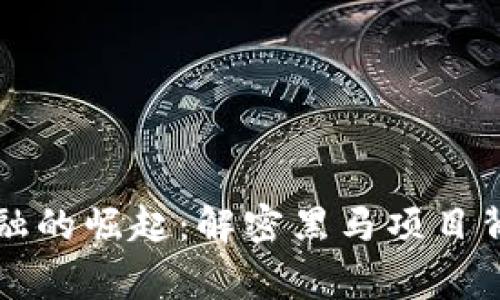 区块链金融的崛起：解密黑马项目背后的故事
