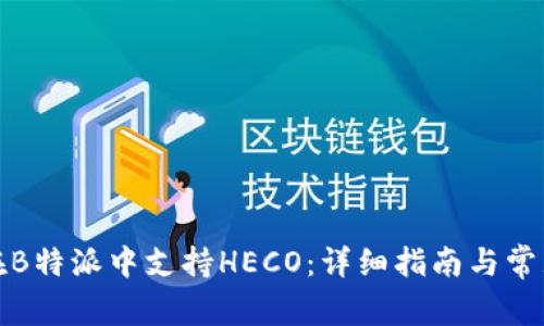 如何在B特派中支持HECO：详细指南与常见问题