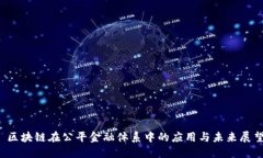  区块链在公平金融体系中的应用与未来展望