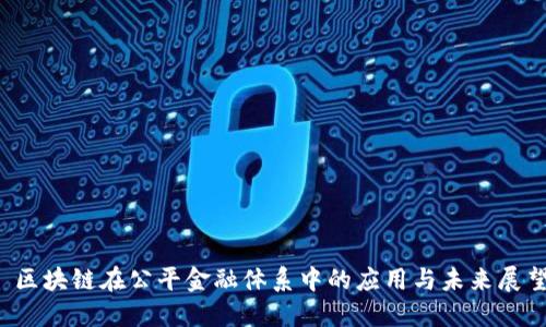  区块链在公平金融体系中的应用与未来展望