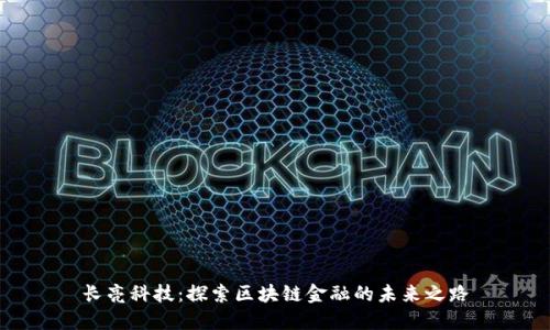长亮科技：探索区块链金融的未来之路