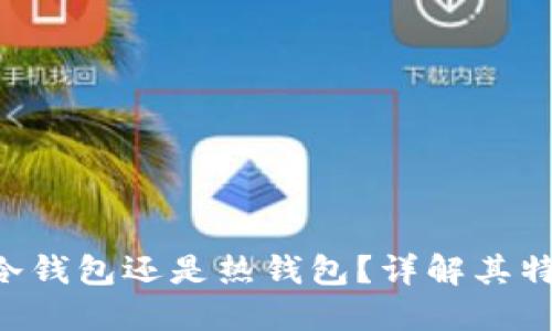 B特派钱包是冷钱包还是热钱包？详解其特点与使用场景