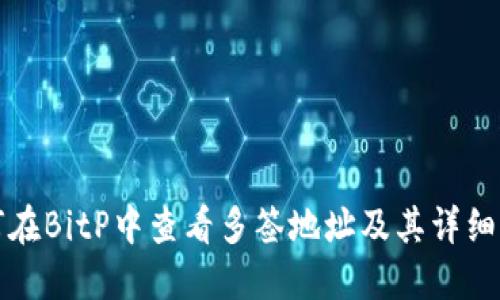如何在BitP中查看多签地址及其详细信息