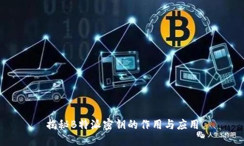 揭秘B特派密钥的作用与应用
