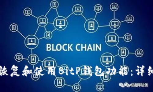 如何恢复和使用BitP钱包功能：详细指南