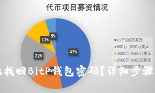 如何安全有效地找回BitP钱包密码？详细步骤及常见问题解析