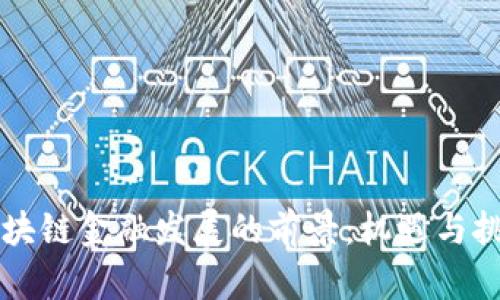 区块链金融发展的前景：机遇与挑战