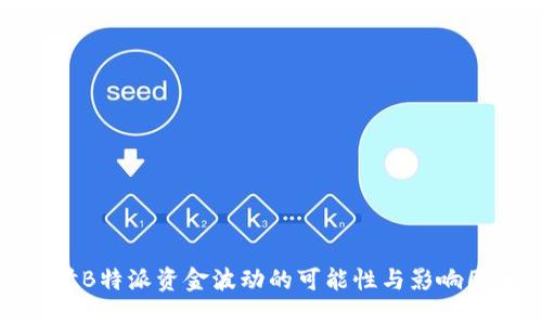 探讨B特派资金波动的可能性与影响因素