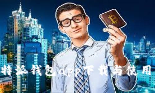 云B特派钱包app下载与使用指南