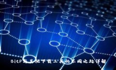 BitP与其他下载工具的不同之处详解