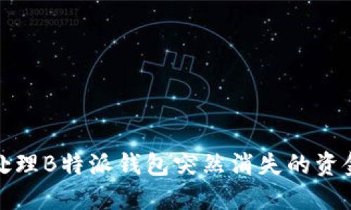 如何处理B特派钱包突然消失的资金问题