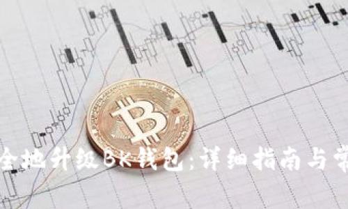 如何高效安全地升级BK钱包：详细指南与常见问题解答