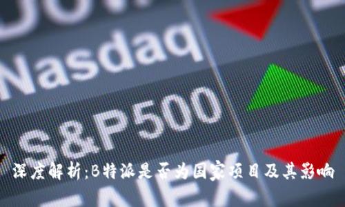 深度解析：B特派是否为国家项目及其影响