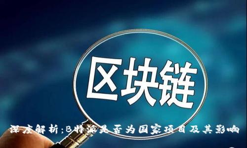 深度解析：B特派是否为国家项目及其影响