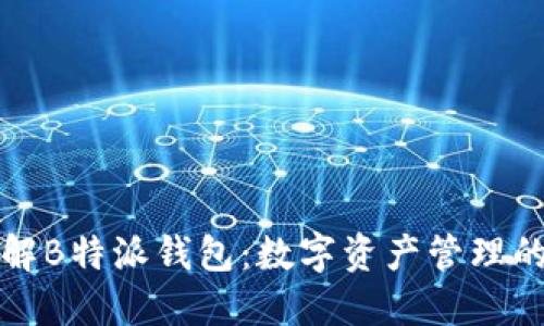 深入了解B特派钱包：数字资产管理的新选择