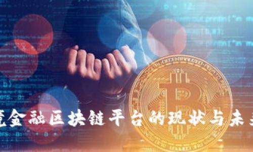 : 衢州跨境金融区块链平台的现状与未来发展探讨