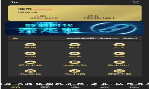 ### B特派团队介绍：专业、协作与创新