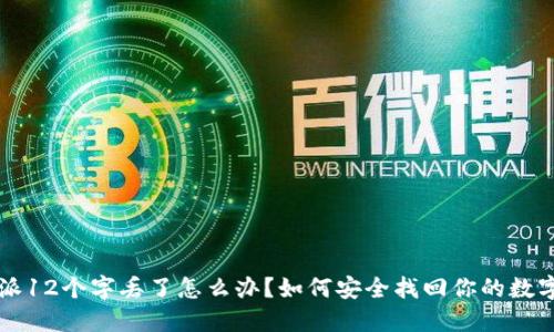 比特派12个字丢了怎么办？如何安全找回你的数字资产