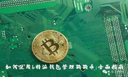 如何使用b特派钱包管理狗狗币：全面指南