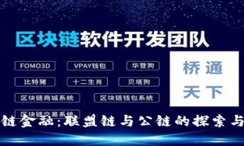 区块链金融：联盟链与公链的探索与价值