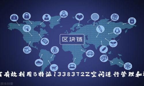 如何有效利用B特派1338372Z空间进行管理和运营