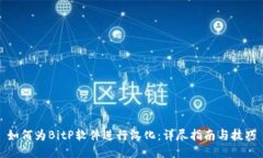 如何为BitP软件进行汉化：详尽指南与技巧