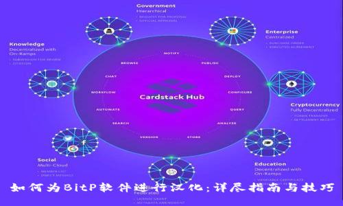 如何为BitP软件进行汉化：详尽指南与技巧