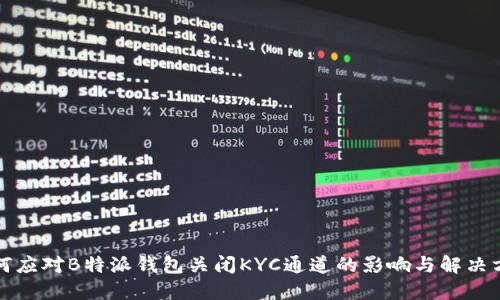 如何应对B特派钱包关闭KYC通道的影响与解决方案