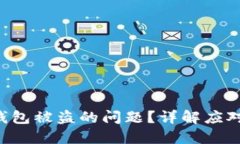 如何处理B特派钱包被盗的问题？详解应对措施与