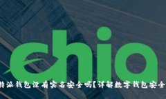b特派钱包没有实名安全吗？详解数字钱包安全性