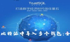 如何在比特派中导入多个钱包：全面指南
