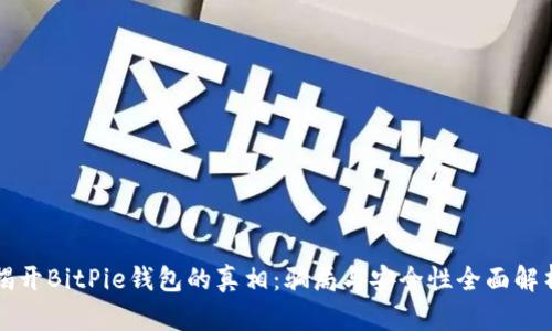 揭开BitPie钱包的真相：骗局与安全性全面解析