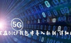 如何在BitP钱包中导入私钥：详细指南