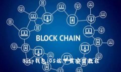 Bitp钱包iOS端下载安装教程