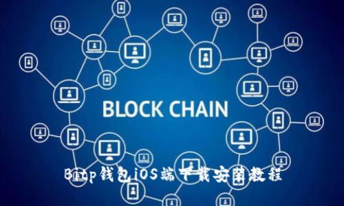 Bitp钱包iOS端下载安装教程