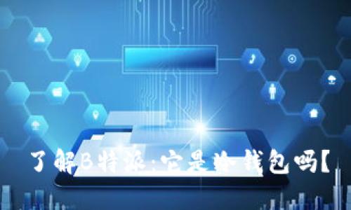 了解B特派：它是冷钱包吗？
