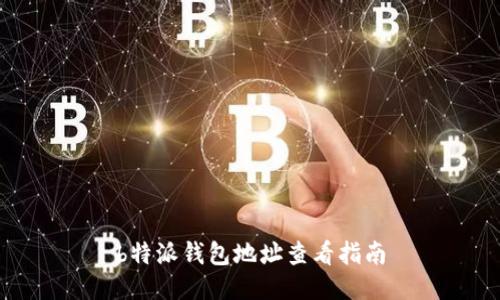 b特派钱包地址查看指南