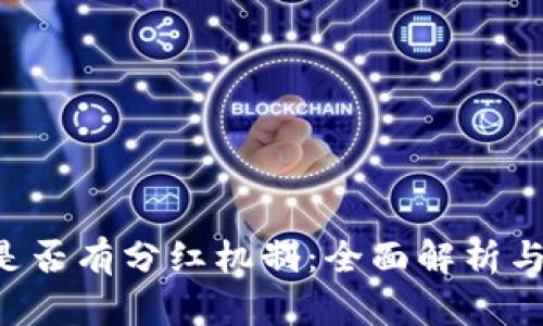 探讨B特派是否有分红机制：全面解析与投资者指南